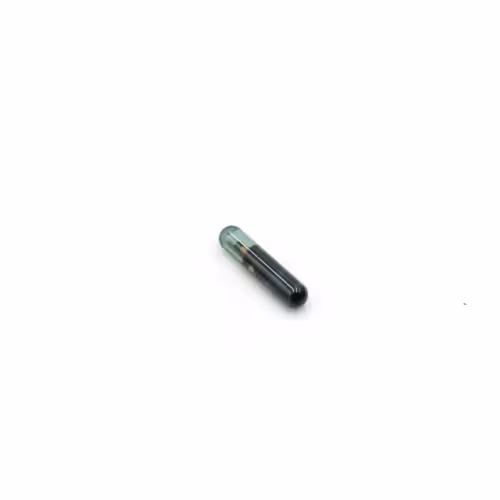 Transponder (TP08 CAPSULA CRYPTADA)
