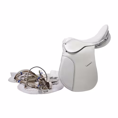 SILLA-KIT INGLESA USO GENERAL KAMELL