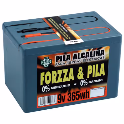 PILA FORZZA ALCALINA  9 V.365 W