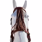 [806429-AVE] CABEZADA VAQUERA ALOMADA CON AHOGADERO IS. HEBILLA FRAGUA INOXIDABLE PREMIUM