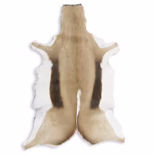 GACELAS DEL TIBET