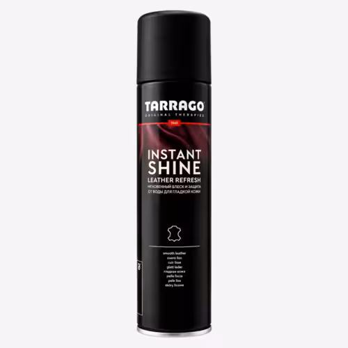 31595trg Tarrago spray instant brillo (250 ml)