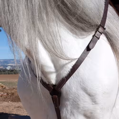 PECHOPETRAL CRUZ VAQUERO REGULABLE KAMELL