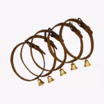 Collar de cobra