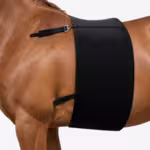 98800 Faja de respeto protectora espuela