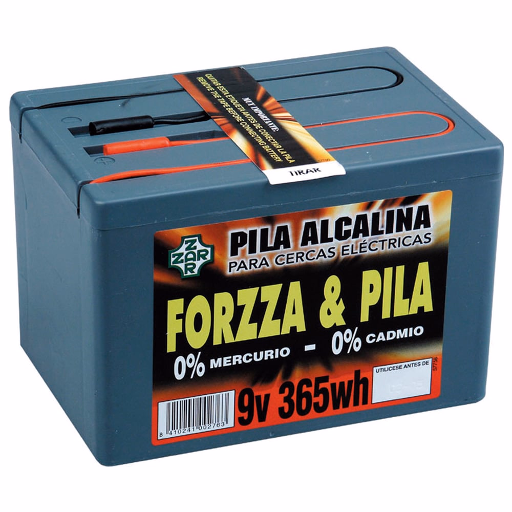 PILA FORZZA ALCALINA  9 V.365 W