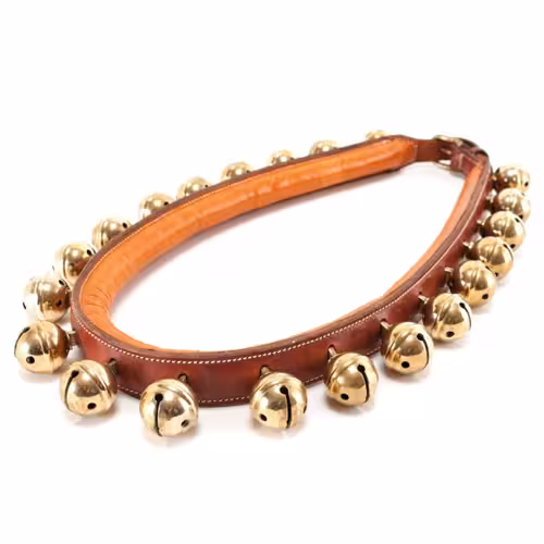 COLLAR CASCABEL PREMIUM