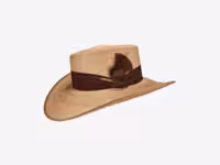 823340 Sombrero Gambler palma imperial