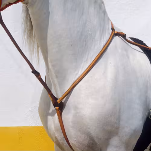 PECHOPETRAL CON GAMARRA VAQUERO KAMELL
