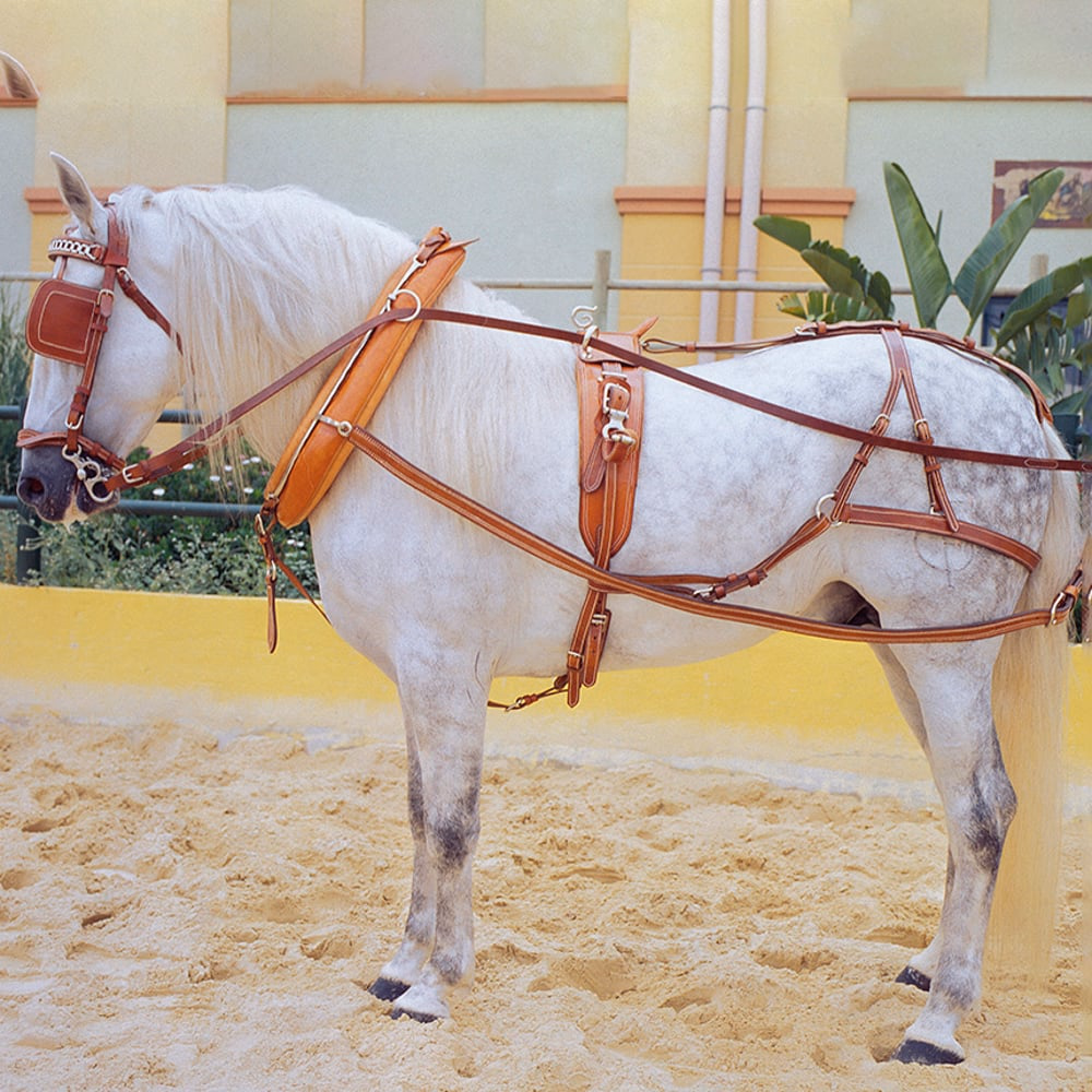 ENGANCHE INGLES DOBLE DE CUERO PREMIUM (FULL, AVELLANA)