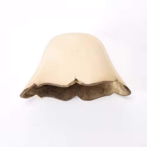 CABEZA DE HORCATE  KAMELL