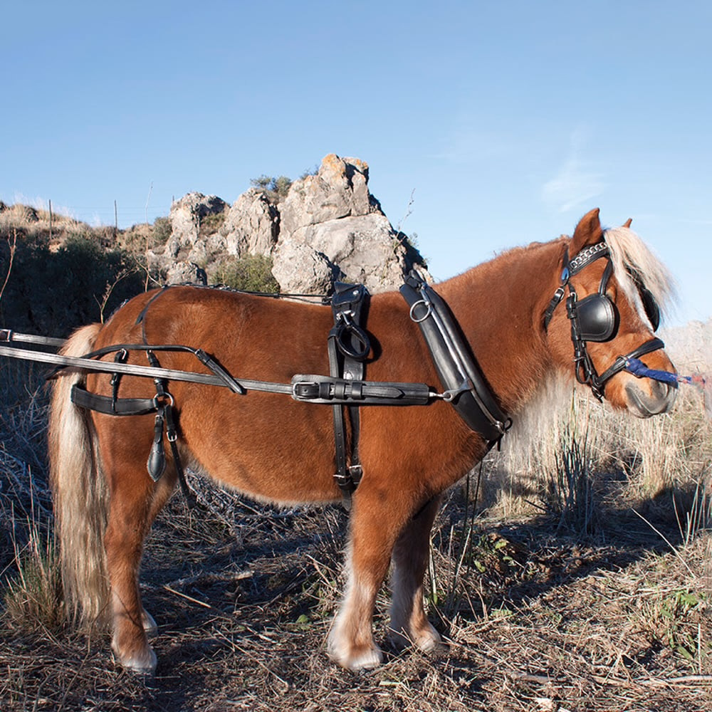 8248601 Enganche inglés sencillo mini pony de cuero kamell