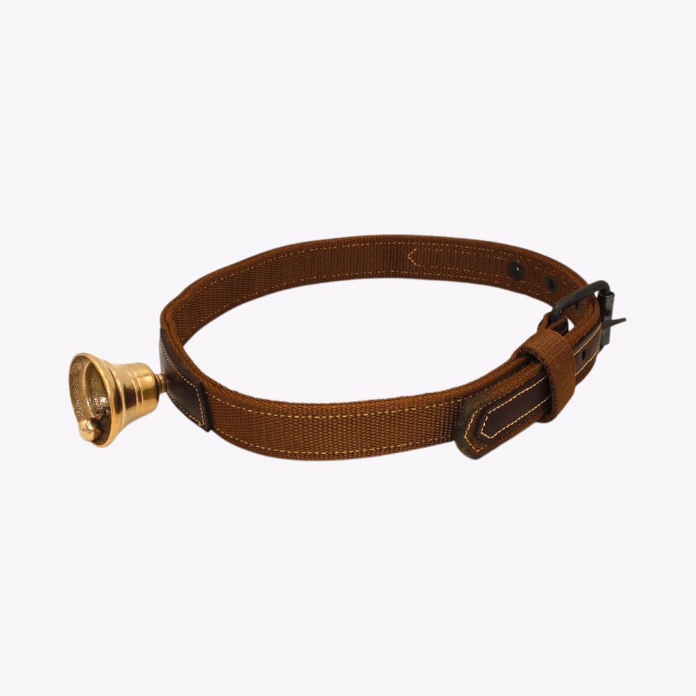 Collar de cobra