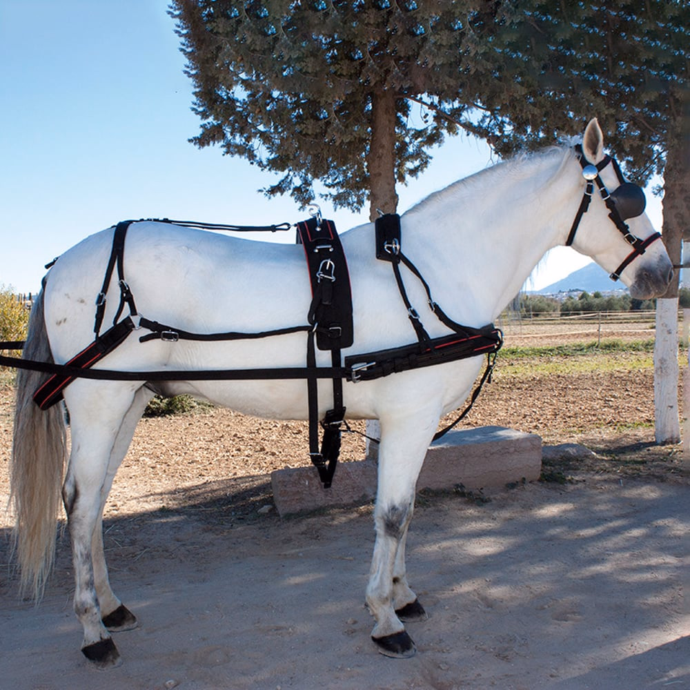 ENGANCHE HUNGARA SENCILLO NYLON PVC VIVO PREMIUM