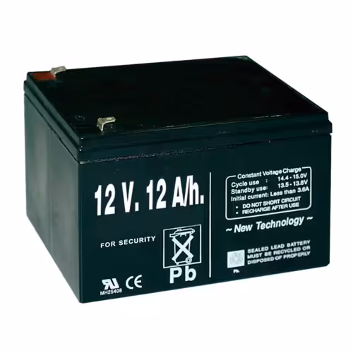 PILA RECARGABLE 12 V. 12/h