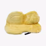 SALVACRUZ DE BORREGO MEDICINAL PREMIUM