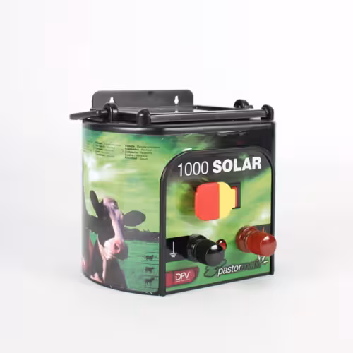 PASTOR SOLAR 1000-6V