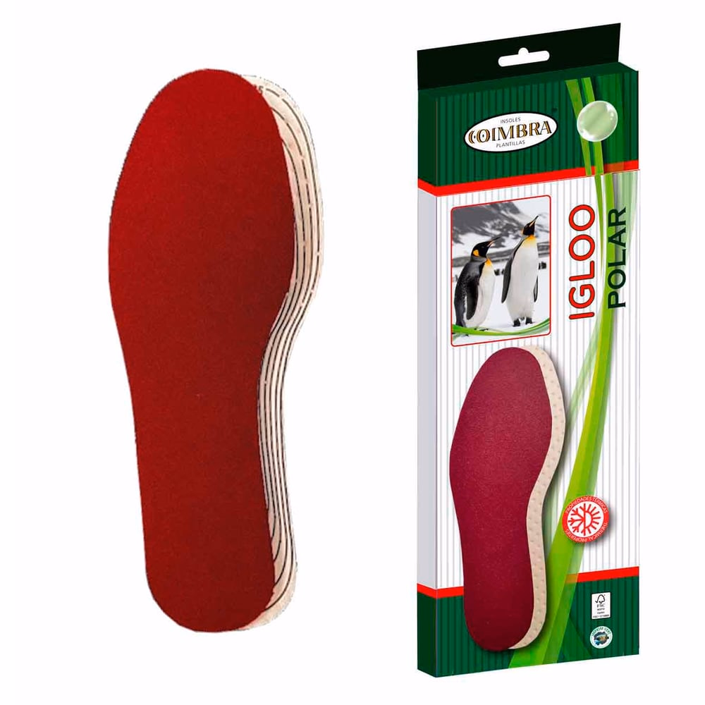 PLANTILLA COIMBRA IGLOO-POLAR 